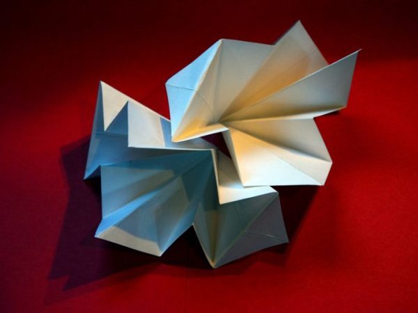 Studio/ Objects, Still Life, Self&nbsp;Portrait