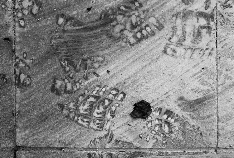 This image has an empty alt attribute; its file name is 000030600005j-1.jpg