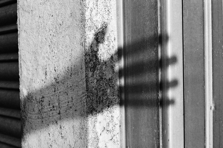 This image has an empty alt attribute; its file name is 000030600026.jpg