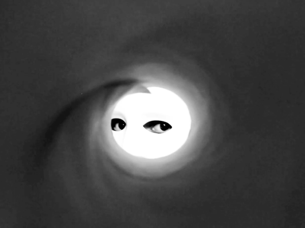 PHOTOGRAPHY AND VIDEOART  – single channel flat sequence&nbsp;video